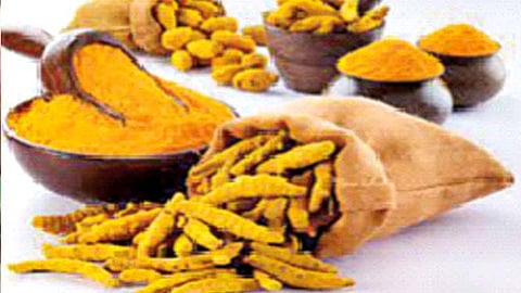 Turmeric production