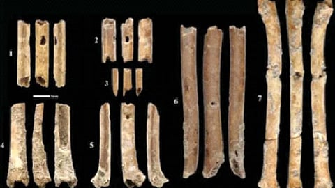 हाडे कोरून बनवलेल्या १२ हजार वर्षांपूर्वीच्या बासर्‍या