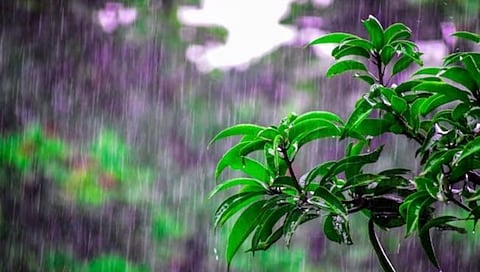 मृग नक्षत्र कोरडेच; खरिपाच्या पेरण्या लांबल्या
