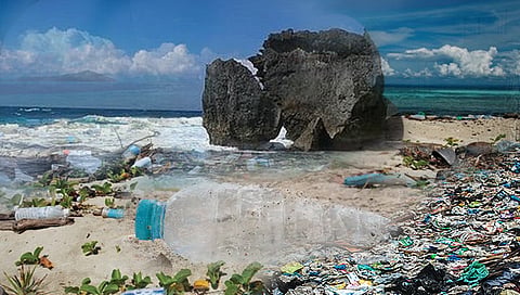 Study of marine debris : समुद्रातील कचर्‍याचा अभ्यास; गोवा राज्य जैवविविधता मंडळाची अनोखी मोहीम