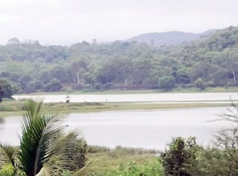 पुणे : पानशेत, वरसगाव धरण खोर्‍यात पाऊस ओसरला