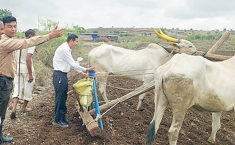 वाळकी : कृषी अधिकार्‍यांची चाड्यावर मूठ; खरिपाच्या पेरणीला सुरुवात