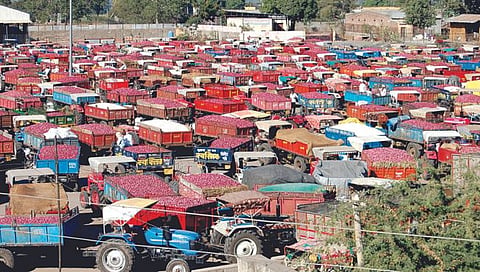 Nashik : लासलगावी यंदा उन्हाळ कांद्याची विक्रमी आवक