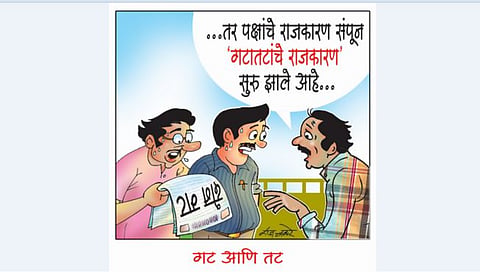 लवंगी मिरची : गट आणि तट