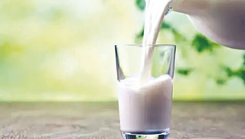 चक्क साखर, पाणी आणि जीवाणूंपासूनही बनत आहे दूध!