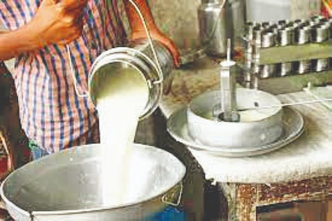 कोल्हापूर : 15 हजार लिटरने दूध संकलनात घट