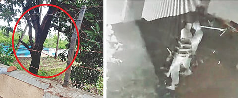 सातार्‍याजवळ सशस्त्र दरोडेखोरांची रेकी