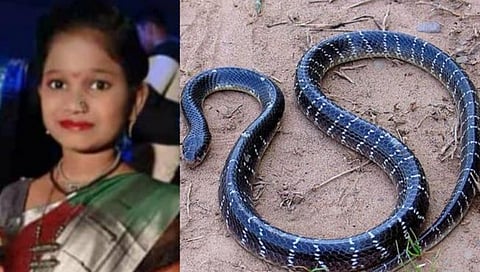 Snake Bite