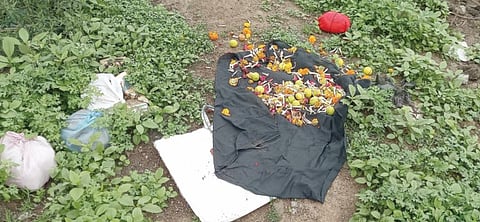 अघोरी कृत्य करणार्‍या भोंदूबाबाची ग्रामीण भागात दहशत