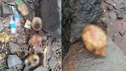 मानवी कवट्या आढळल्‍या    