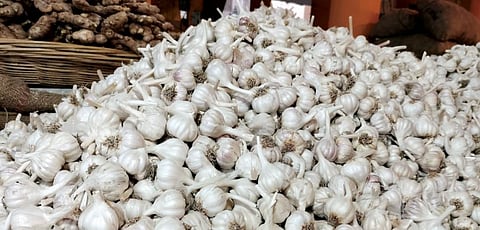 Garlic Rate 