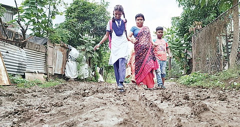 अहमदनगर जिल्ह्यात सर्वदूर पाऊस; बळीराजा आनंदला