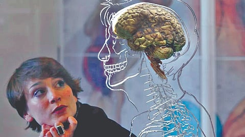 use of brain  