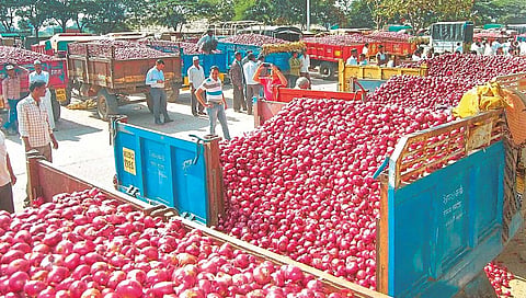 शेती : का होते ‘कांदा’ कोंडी?