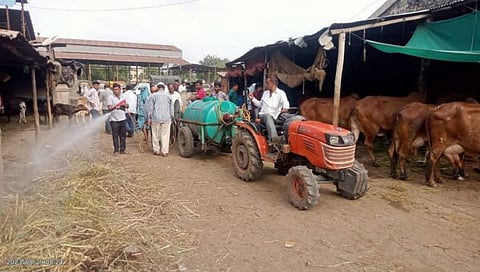 धुळे बाजार समितीत दर मंगळवारी मोफत लम्पी प्रतिबंधात्मक लसीकरण 