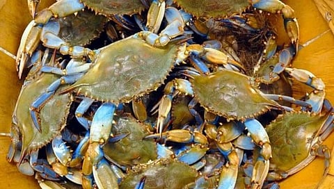 Italy News