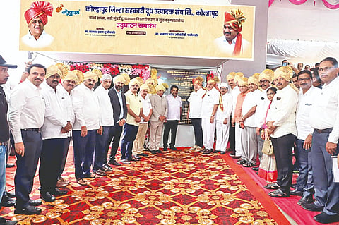 ‘गोकुळ’मध्ये परराज्यांतील दुधाचे आक्रमण थोपविण्याची धमक : हसन मुश्रीफ