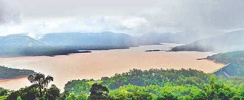 सातारा : गतवर्षीपेक्षा पाऊस, पाणीसाठा अन् आवकही जास्त