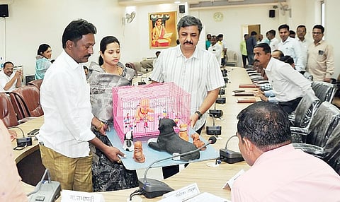 नगर : मुले पिंजर्‍यात, कुत्री मोकाट; कारवाई न केल्यास महासभेत खाली बसणार