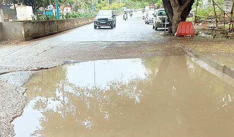 पुणे : पाणी साठणार्‍या ठिकाणांकडे पालिकेचे दुर्लक्ष