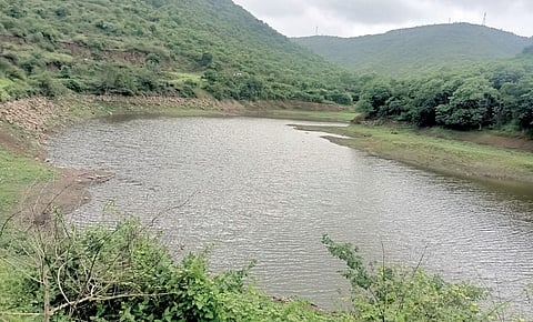पुण्यातील ‘या’ भागात अद्यापही जोरदार पावसाची प्रतीक्षा; तलावांनी गाठला तळ