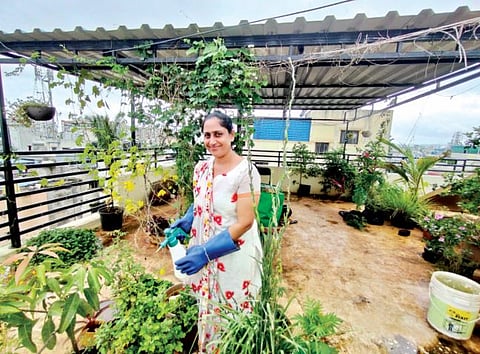 ’वेस्ट टू कंपोस्ट’मधून फुलविली परसबाग
