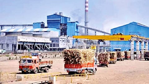 जागतिक साखर टंचाई निवारणात हातभार लागणार; देशात यंदा उद्योगाची स्‍थिती समाधानकारक