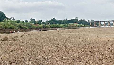 Sangli News : गणेश विसर्जनादिवशी कृष्णा कोरडी