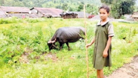 डोंगर दर्‍यातील विद्यार्थ्यांचे शैक्षणिक भवितव्य अंधारात