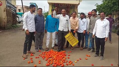 Nashik Tomato Price : मनमाडला टोमॅटोला मिळाला चिंचोक्याचा भाव, शेतकरी हतबल 