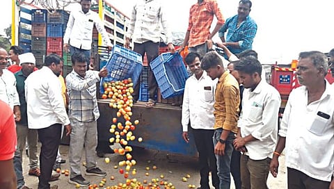 नाशिक : दर घसरल्याने संतप्त शेतकरी बाजार समितीच्या आवारात रस्त्यावर टोमॅटो फेकताना.