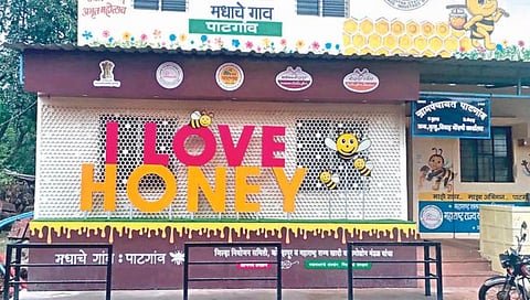Kolhapur News: ‘सर्वोत्कृष्ट ग्रामीण पर्यटन व्हिलेज’ स्पर्धेत पाटगावला कांस्यपदक