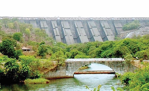 भंडारदर्‍यातून सोडलेल्या पाण्याची चोरी