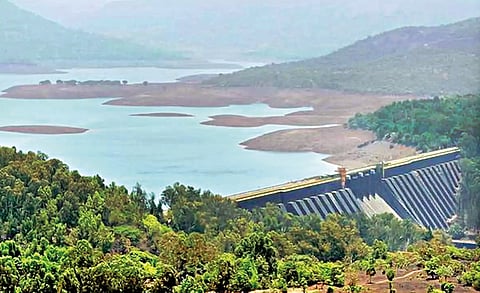 पुणे जिल्ह्यातील धरणे भरण्यासाठी मोठ्या पावसाची गरज; घ्या जाणून धरणातील पाणीसाठा