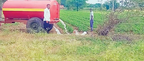 बटाटा पिकाला टँकरने पाणी ; पाणीटंचाईत पीक वाचविण्यासाठी शेतकर्‍यांची धडपड