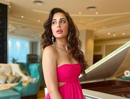 Nargis Fakhri HBD special : नर्गिसच्या वाढदिसानिमित्त जाणून घ्या ‘या’ खास गोष्टी
