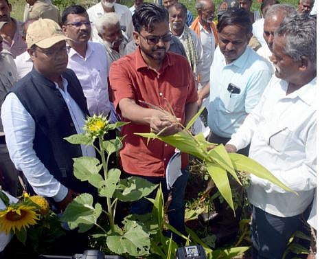 बेळगाव जिल्ह्यात २.७८ लाख हेक्टर पिकांचे नुकसान; जिल्हाधिकाऱ्याची माहिती 