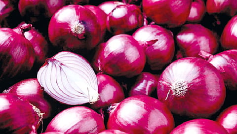 कांद्याच्या दर नियंत्रणासाठी केंद्राची कसरत
