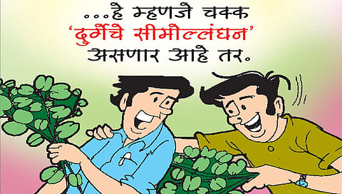 लवंगी मिरची : केवळ अद्भुत..!