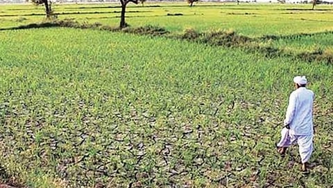 Karnataka news
