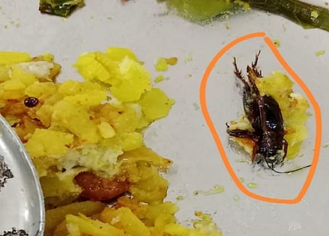 धक्कादायक! पुणे विद्यापीठात विद्यार्थ्यांच्या भोजनात झुरळ, अळ्या