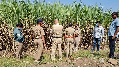घुणकी 