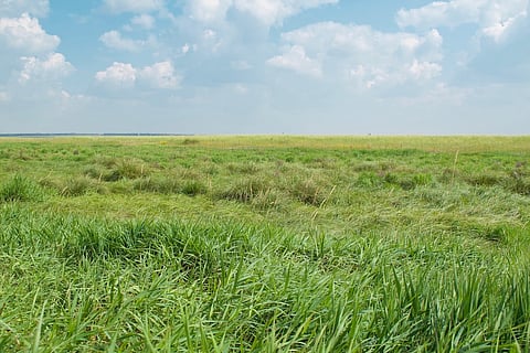File photo 