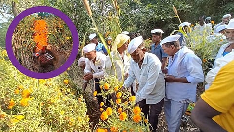 Nashik News : वसुबारस नव्हे तर वाघबारस’ने आदिवासींच्या दिवाळीला प्रारंभ