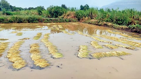 सातार्‍यात ढगफुटीसदृश पावसाने हाहाकार