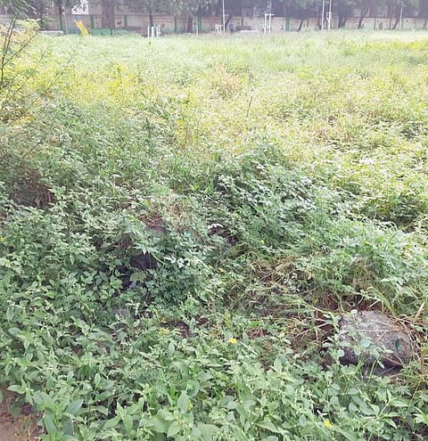 Pune News : भोसले मैदानात सुविधांनी घेतली असुविधांची जागा! 