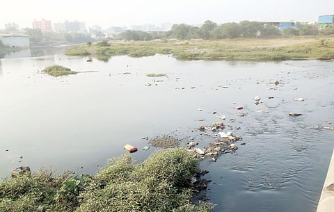 पिंपरी शहरातील जलजीवनाचा होतोय र्‍हास