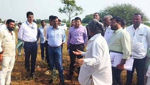 Nashik Drought : साहेब, पेरलं ते उगवलं नाही अन् जे उगवलं ते करपून गेलं; शेतकऱ्याने मांडली कैफियत