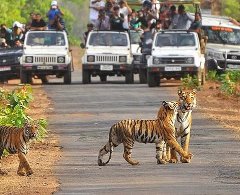 नवीन वर्षाच्या स्वागतासाठी ट्रीप प्लॅन करताय ? हे आहेत सर्वोत्तम पर्याय