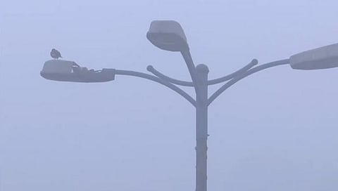 Delhi Fog: दिल्ली विमानतळावर दाट धुक्यांमुळे विमान उड्डाणे प्रभावित